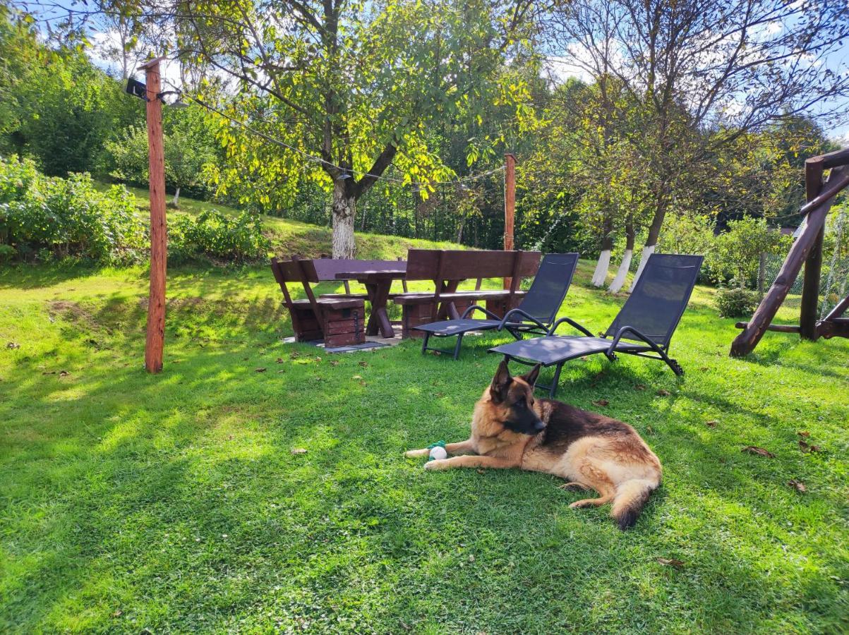Farm stay Dom Kowala *